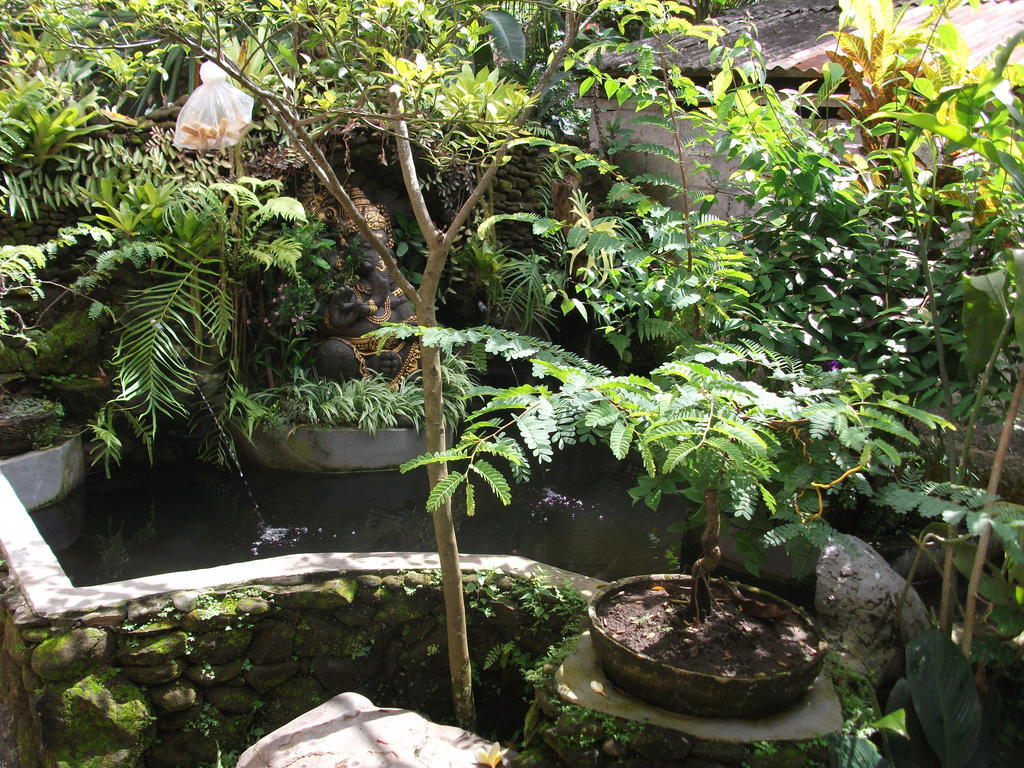 Arsa Homestay & Spa Ubud Exteriér fotografie